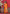 Vedant Vastram Soft Litchi Silk Kanjeevaram Saree - Orange - Distacart