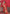Vedant Vastram Soft Litchi Silk Kanjeevaram Saree - Red - Distacart