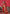Vedant Vastram Soft Litchi Silk Kanjeevaram Saree - Red - Distacart