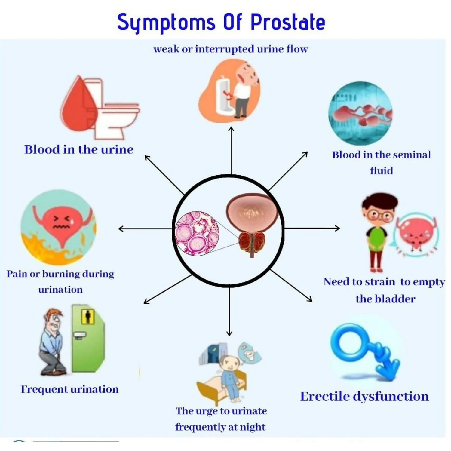Jivan Shree Prostate Formula Capsules