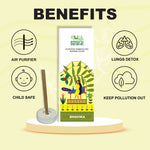 Thumbnail for Shuddh Natural Ashwagandha & Turmeric Bambooless Incense Stick