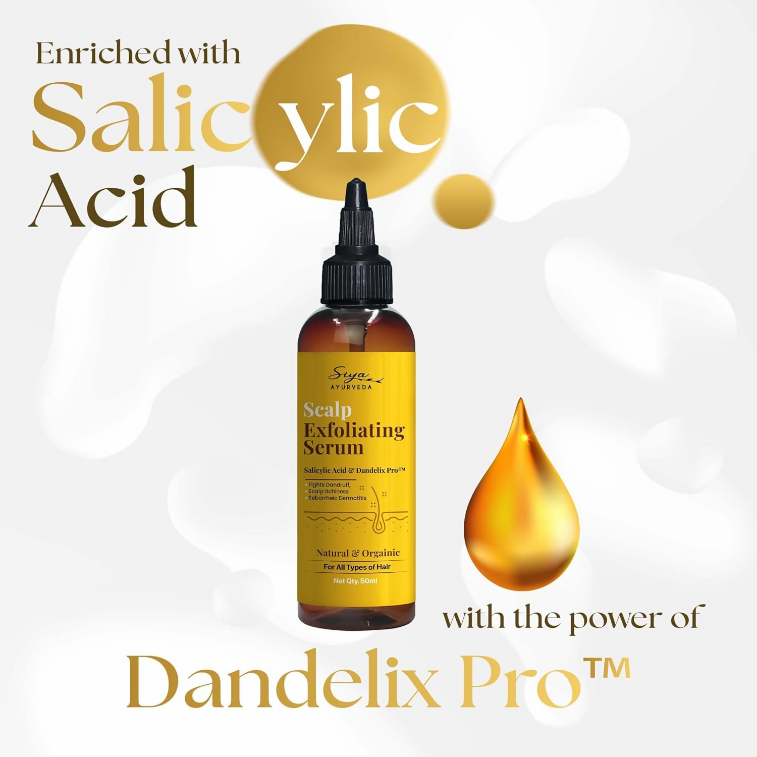 download - 2024-11-27T155916.548