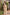 Olive Pure Linen Ethnic Motifs Saree with Unstitched Blouse - A2M