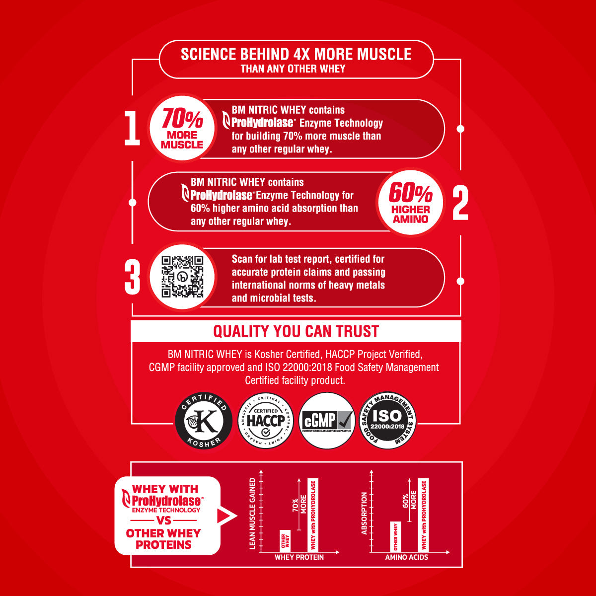 Big Muscles Nutrition Nitric Whey Protein