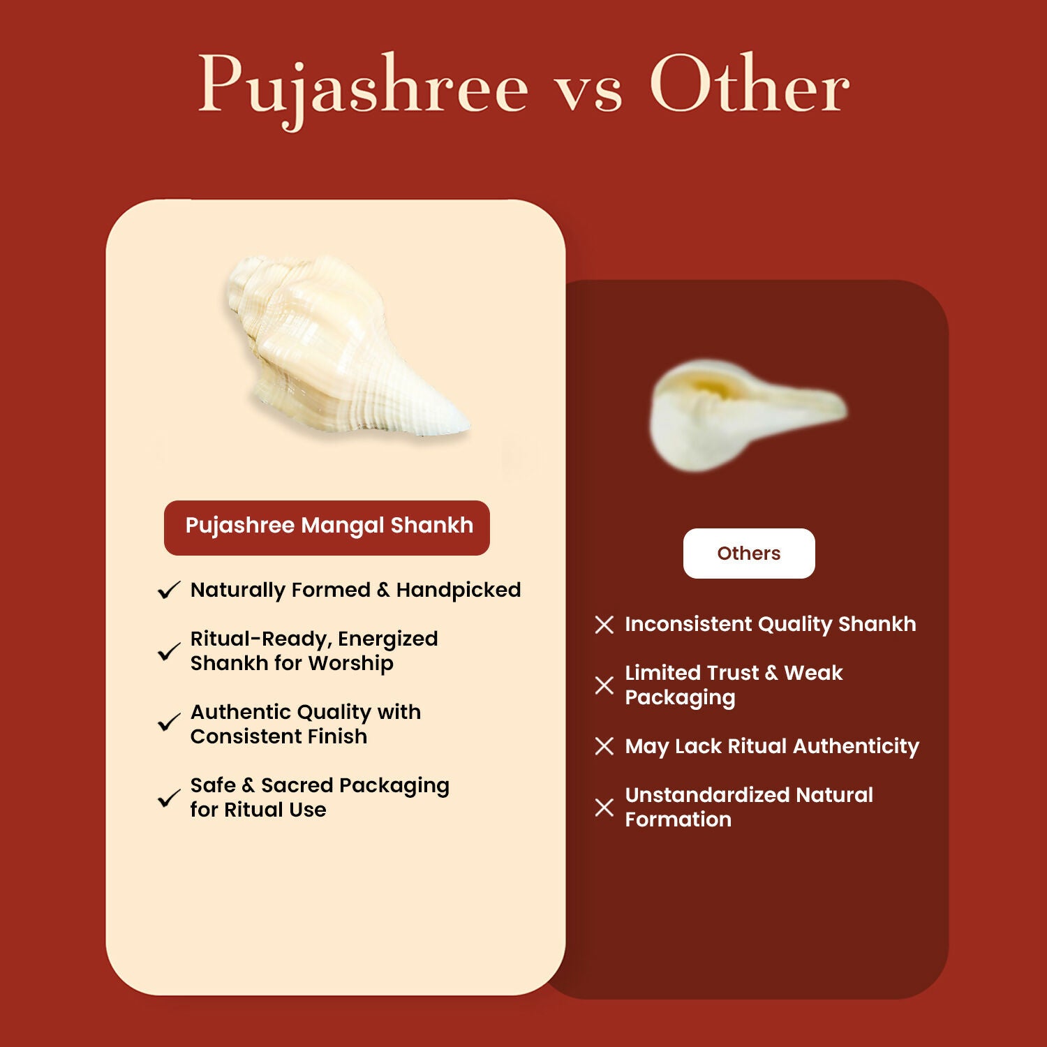 Pujashree Mangal Shankh – Navagraha Conch For Strength, Courage & Protection - Dista