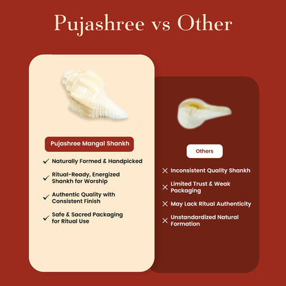 Pujashree Mangal Shankh – Navagraha Conch For Strength, Courage & Protection - Dista