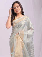 Thumbnail for Astita Organza Sky Blue Saree