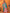 Joban Fashion Banarasi Pine Green Woven Soft Silk Saree