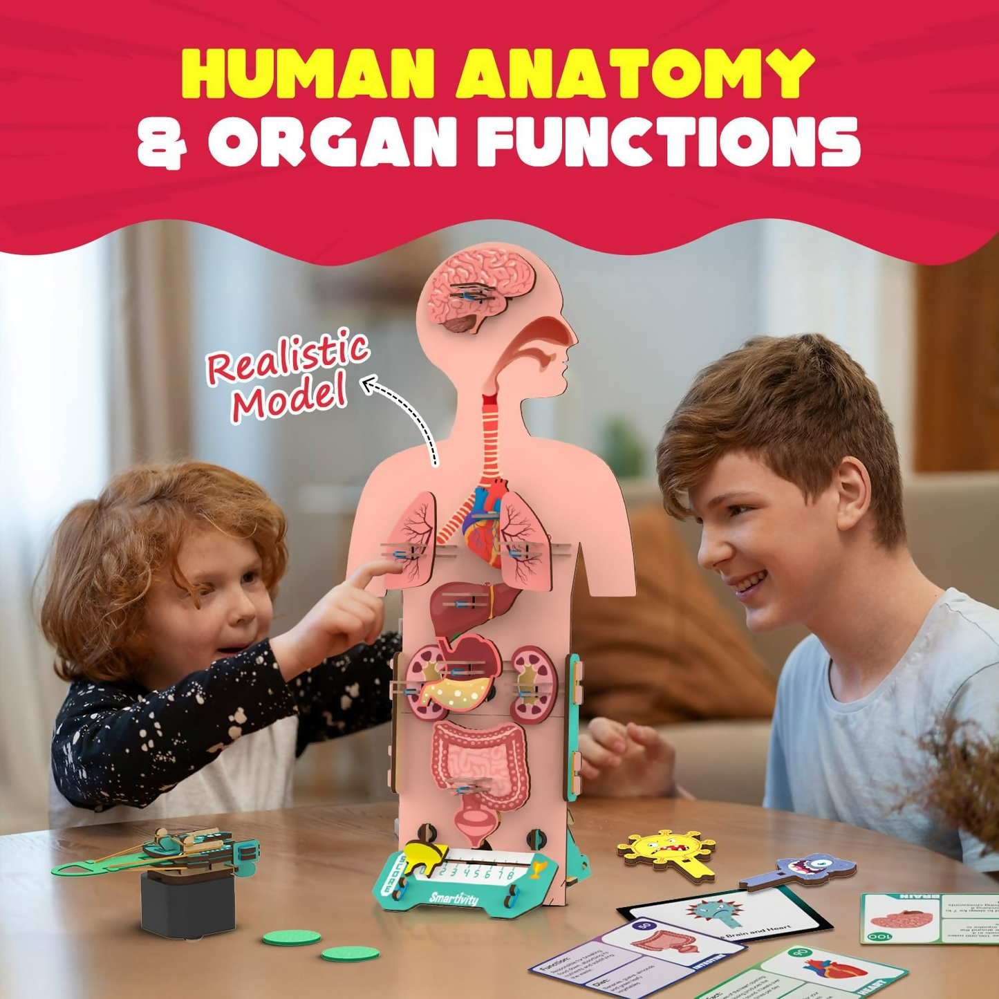 Smartivity Human Body Toy For Kids 6-12 Years Body Organs & Functions - Distacart