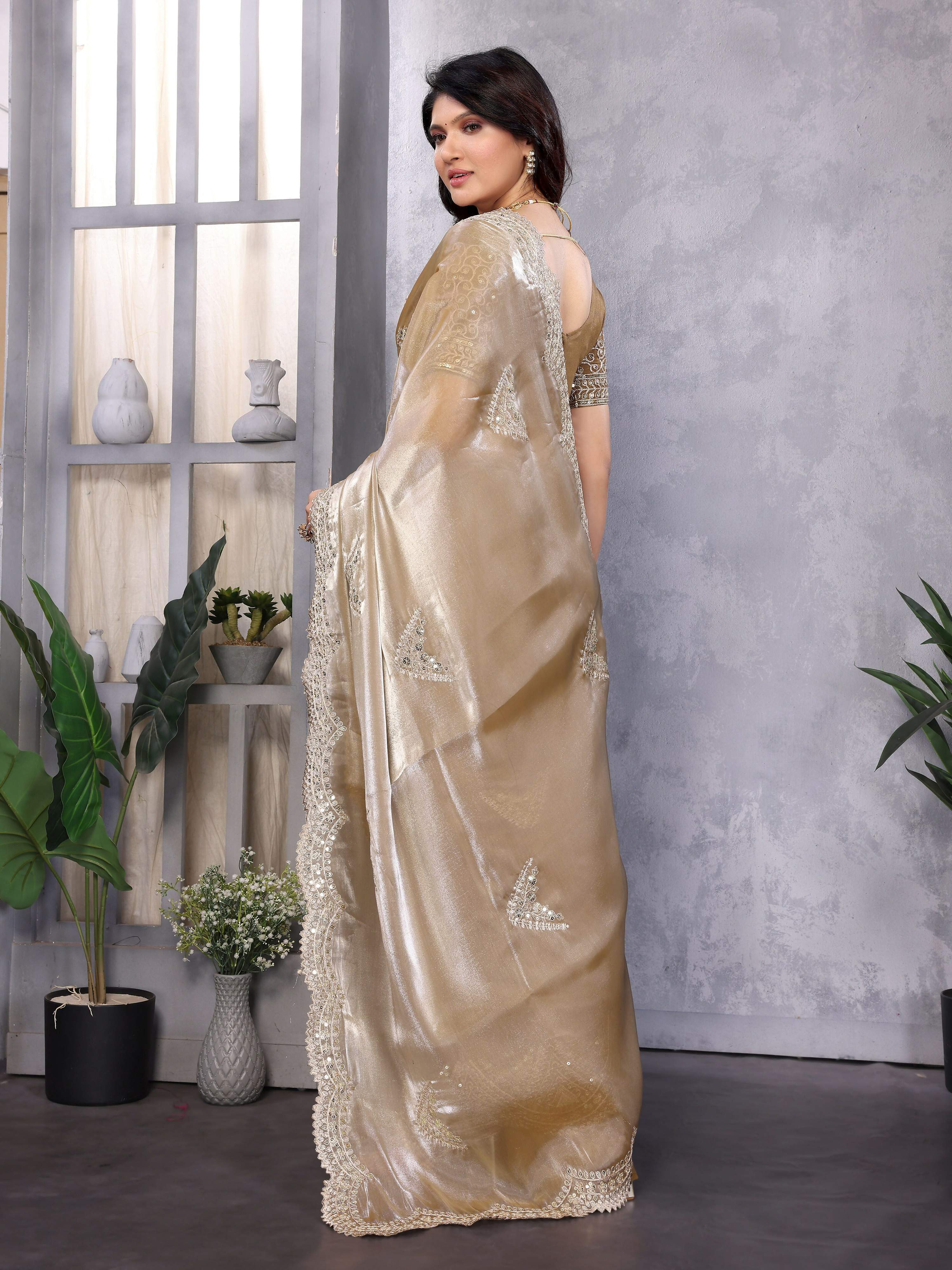 Vastranavya Beige Embroidery Work Shimmer Chiffon Saree with Unstitched Blouse