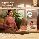 Thumbnail for Organic India Revitalise Gut Tea Bags - Distacart