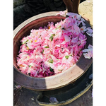 Thumbnail for Nawab's Secret Natural Rose Water - Dista