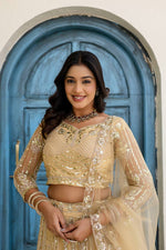 Thumbnail for Lehenga Mart Net Lehenga With Cording Embroidery Work-Cream - Dista