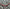 ORn4c9VMpC