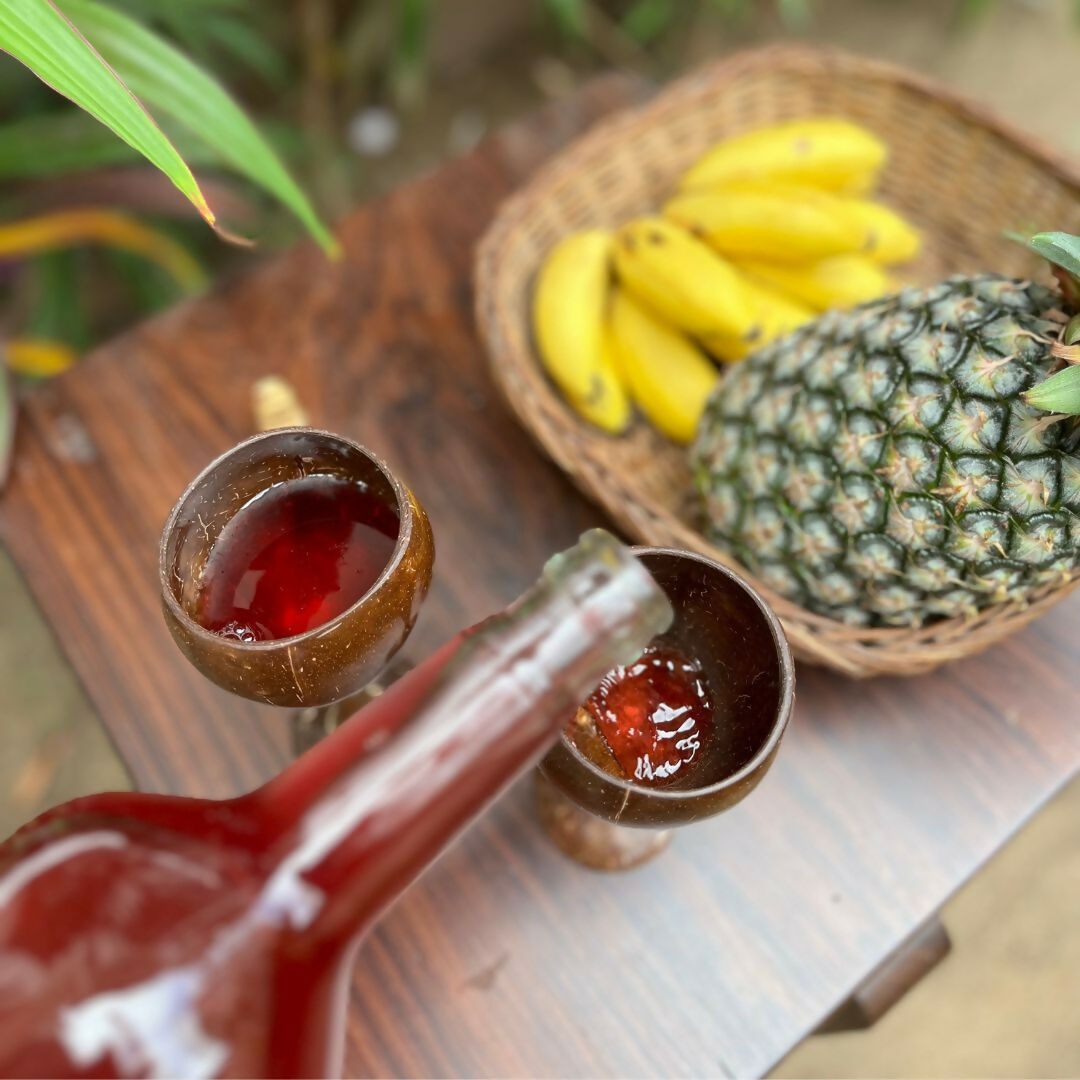 Thenga Coconut Shell & Wooden Wine Glasses - Dista