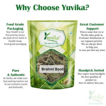 Yuvika Brahmi Booti - Gotu Kola - Bacopa Monnieri Linn - Indian Pennywort - Distacart