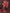 Ai Fashion Multi Georgette Digital Print Party Wear Saree