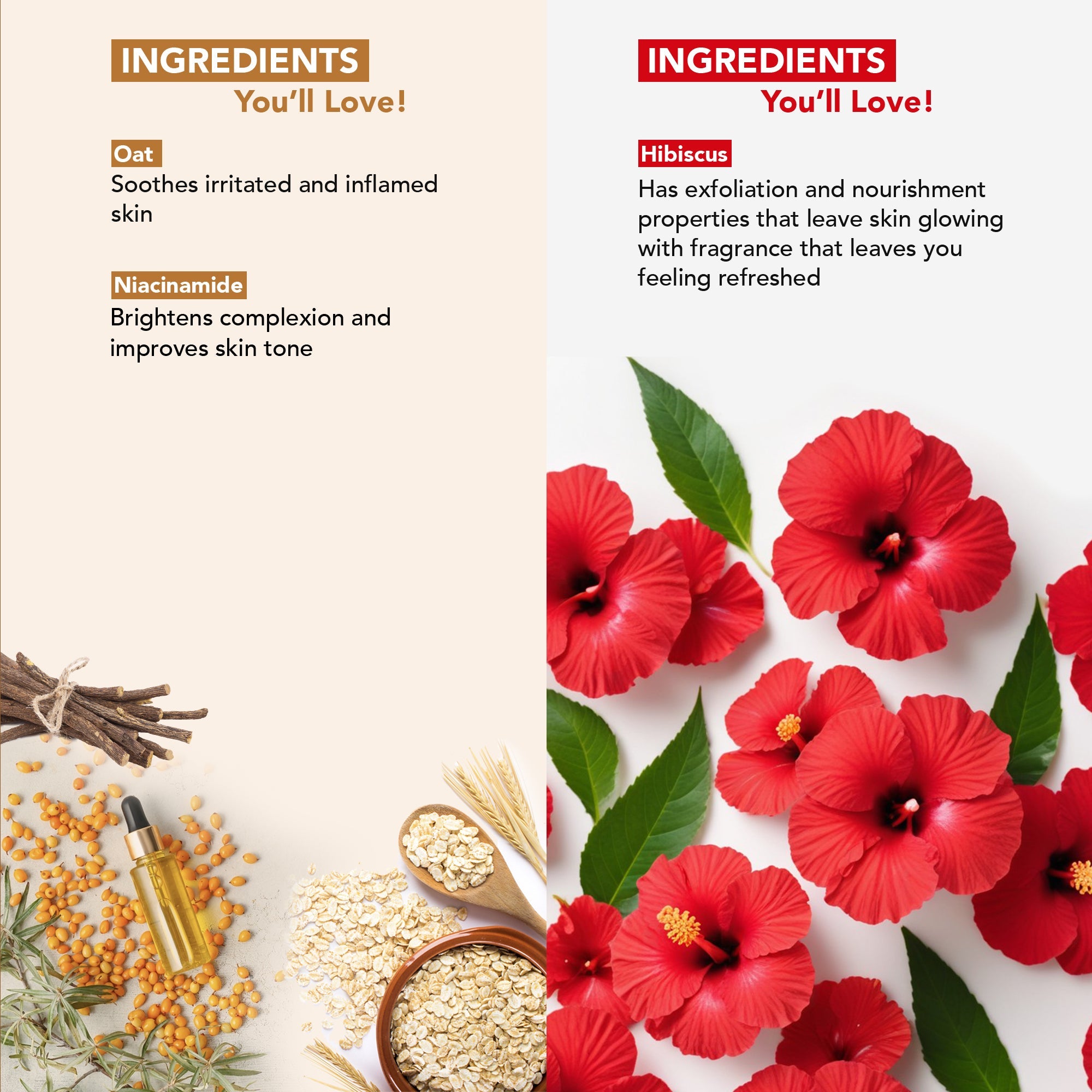 Botanic Hearth Oat & Niacinamide Bodywash & Hibiscus Scrub Combo - Distacart