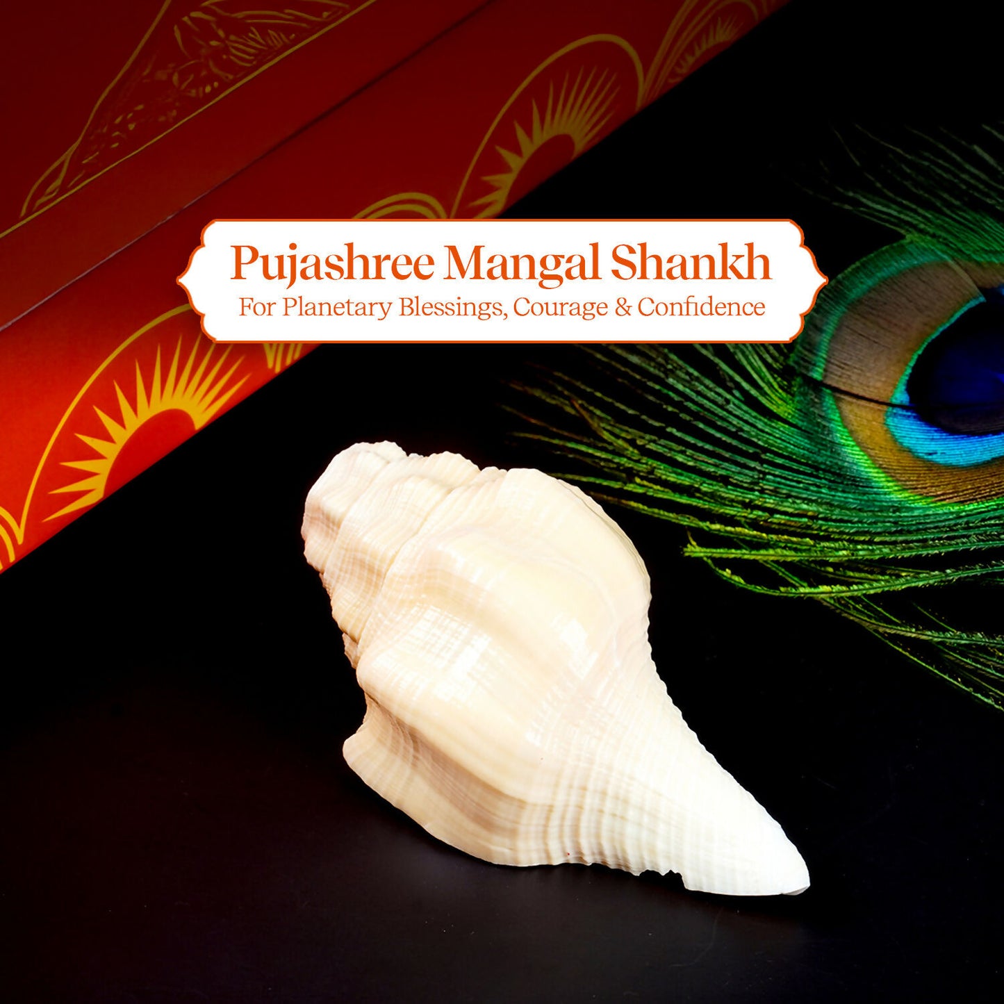 Pujashree Mangal Shankh – Navagraha Conch For Strength, Courage & Protection - Dista