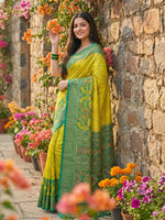 Thumbnail for Anaita Olive Pochampally Printed Saree With Blouse - Distacart