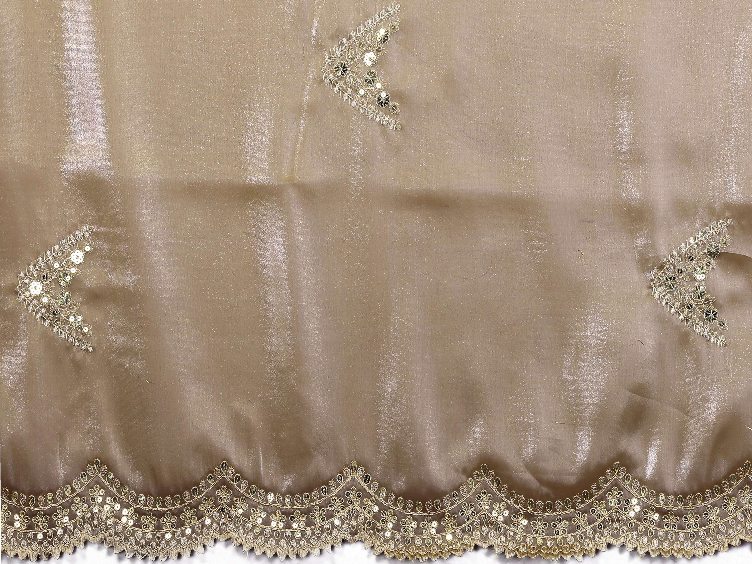 Vastranavya Beige Embroidery Work Shimmer Chiffon Saree with Unstitched Blouse