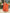 The52 Women's Orange Embroidered Vichitra Silk Fabric Straight Kurta, Pant and Dupatta Set