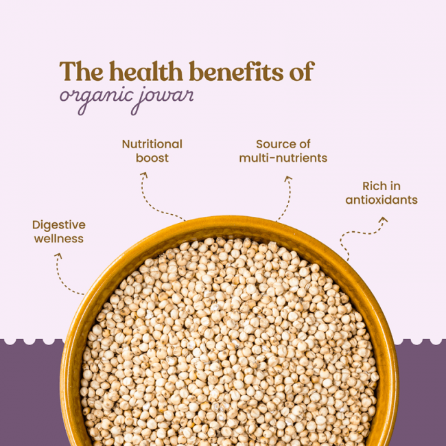 Bharat Vedica Organic Sorghum Millet - Organic Jowar - Distacart