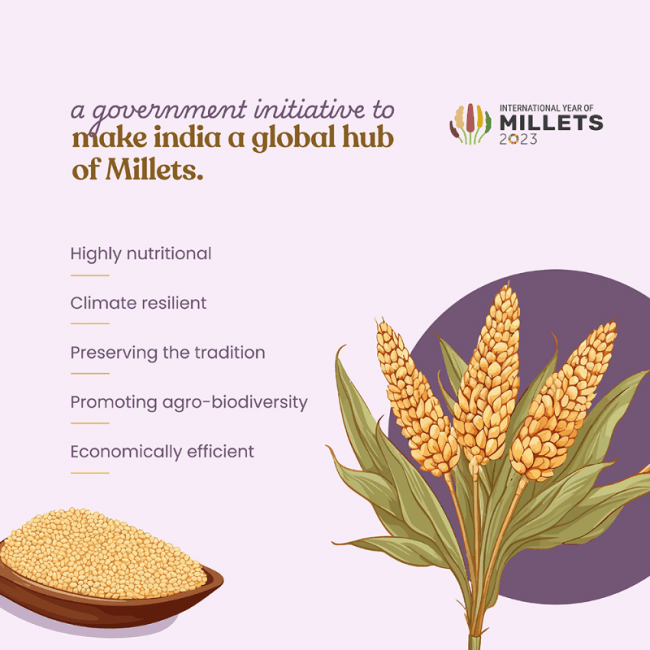 Bharat Vedica Organic Sorghum Millet - Organic Jowar - Distacart