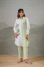 Thumbnail for Juniper LightGreen & White Divide Embroidered Panel Kurta Set - Distacart