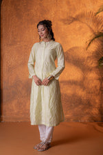 Thumbnail for Juniper Pistachio SageGreen Foil Print Kurta - Distacart