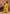 Juniper Yellow Cotton Slub Floral Printed Kurta-Pant & Dupatta Set with Lace Work - Distacart