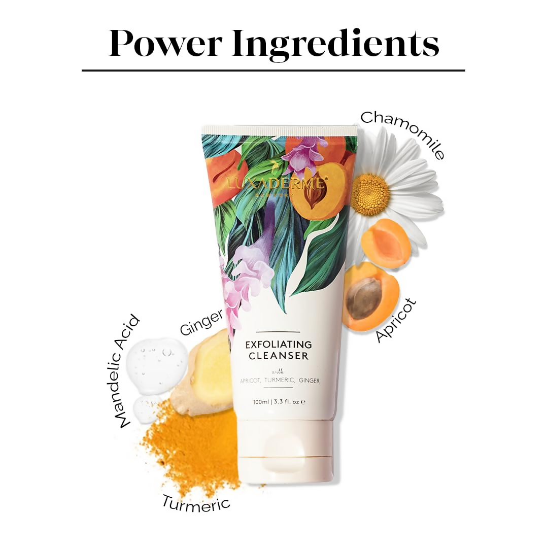 download - 2024-11-11T161935.613