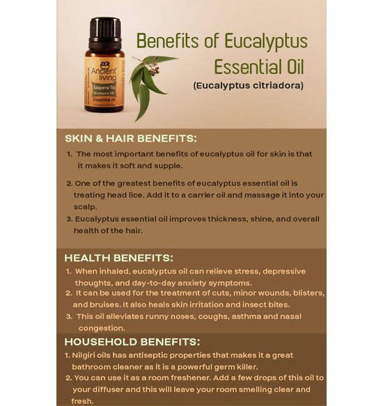 Ancient Living Tailaparna Tila (Eucalyptus Oil) Essential Oil - Distacart