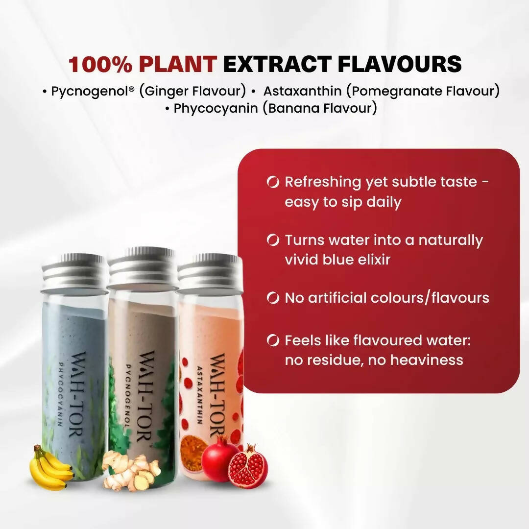 Chosen Wah-Tor Plant Powered Collagen Builder - Distacart