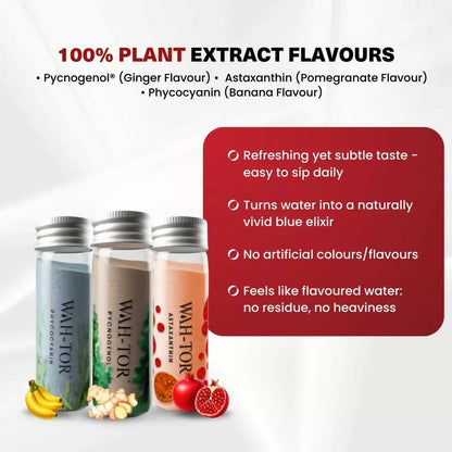Chosen Wah-Tor Plant Powered Collagen Builder - Distacart