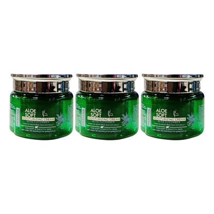 Patanjali Aloevera Moisturizing Cream - Distacart