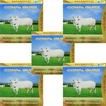 Thumbnail for Patanjali Cow's Ghee | Desi Ghee, Aiding Digestion, and Boosting Energy