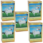 Thumbnail for Patanjali Cow's Ghee | Desi Ghee, Aiding Digestion, and Boosting Energy