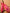 NOZ2TOZ Women's Silk Blend Pink Woven Design Designer Saree With Blouse Piece - Distacart