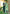 Vegaa Fashion Green Viscose Rayon Embroidered Salwar Suit