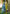 Vegaa Fashion Dark Yellow Viscose Rayon Embroidered Salwar Suit