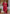 Vegaa Fashion Red Viscose Silk Beads Work Desginer Suit