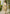 Vegaa Fashion Cream Viscose Silk Beads Work Desginer Suit