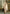Vegaa Fashion Cream Viscose Silk Beads Work Desginer Suit