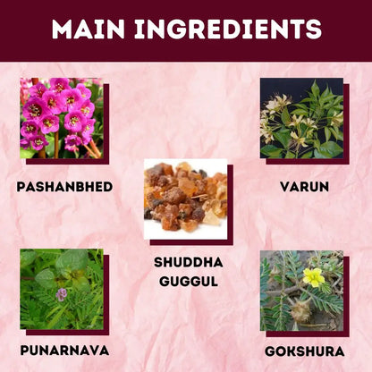 Herbal Hills Ayurveda Proscarehills Tablets - Distacart
