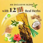 Thumbnail for Veda Ayurvedic Cold Pressed Hair Oil - Ayurvedic Jadi Butis Infused Oil - Distacart