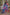 BulBul Rani Blue Silk Kurta Set with Dupatta