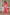 BulBul Farida Red Silk Kurta Set with Dupatta