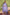 BulBul Roshni Muslin Purple Kurta Set With Dupatta
