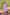 BulBul Indu Muslin Purple Kurta Set With Dupatta